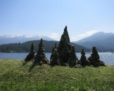 IMG_1132