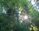 IMG_1151