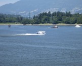 IMG_1239
