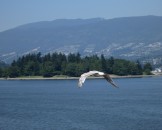 IMG_1247