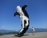IMG_1259