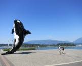 IMG_1261