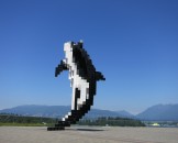 IMG_1265