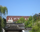 IMG_1294