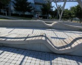 IMG_1309