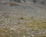 IMG_1405
