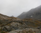 IMG_1471