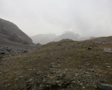 IMG_1475