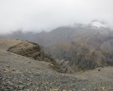 IMG_1481