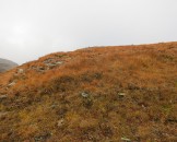 IMG_1486