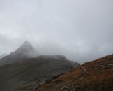 IMG_1487