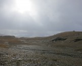 IMG_1491