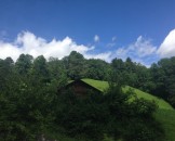 IMG_0002