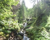 IMG_0010