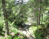 IMG_0011