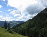 IMG_0015