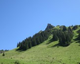 IMG_0021