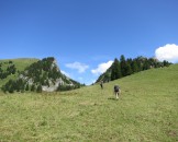 IMG_0026