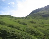 IMG_0031