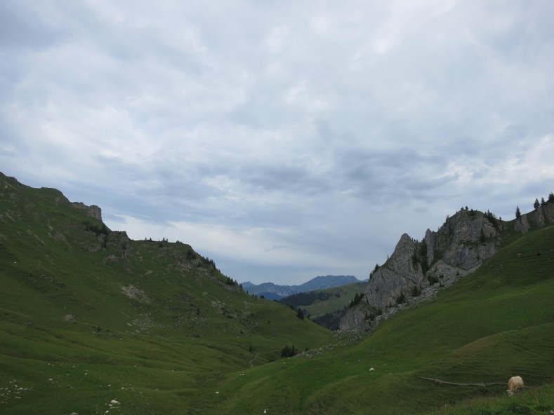 IMG_0038