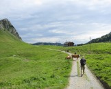 IMG_0042