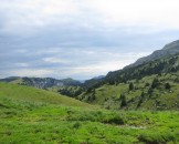 IMG_0044