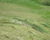 IMG_0045