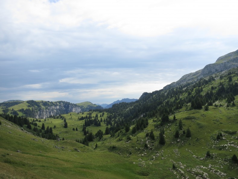 IMG_0047