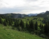 IMG_0049