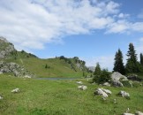 IMG_0050