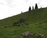IMG_0063