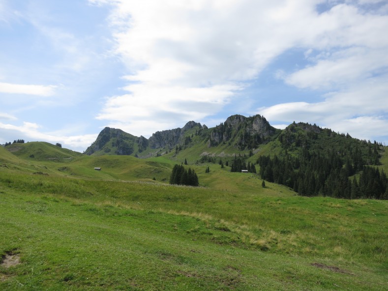IMG_0069