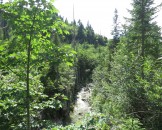 IMG_0071