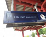 IMG_4731