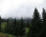 IMG_4747