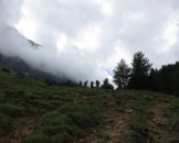 IMG_4748