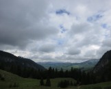 IMG_4753