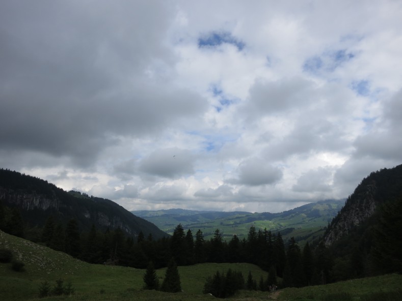 IMG_4753