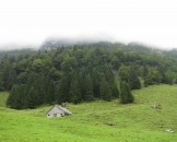 IMG_4768