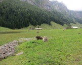 IMG_4800