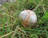 IMG_4836