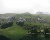 IMG_4841