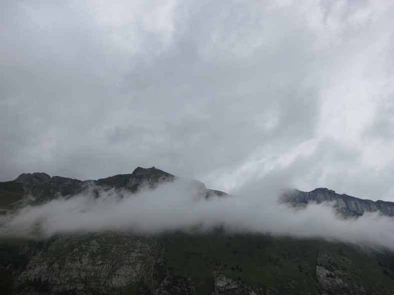 IMG_4875