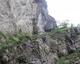IMG_4877
