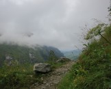 IMG_4881