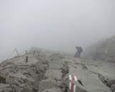 IMG_4921