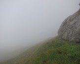 IMG_4924