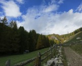 IMG_0001
