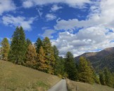 IMG_0005