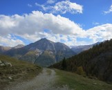 IMG_0010
